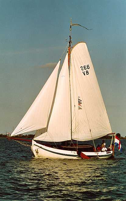 VB266 Tasser