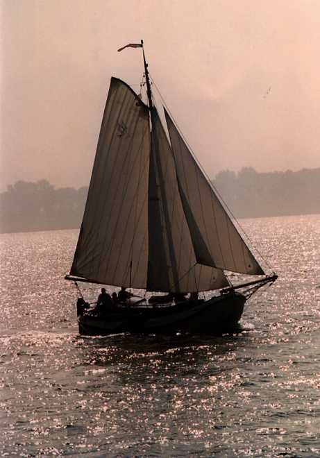 Spelen met licht,deduif