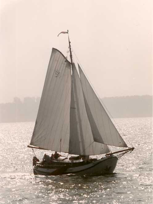 Het wite doke in tegenlicht