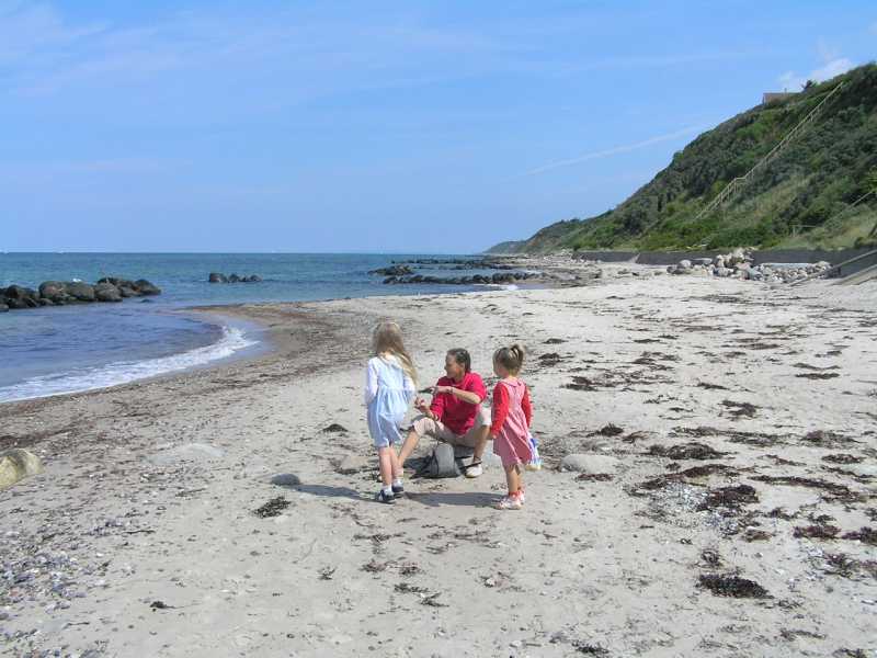 Schelpen en stenen verzamelen