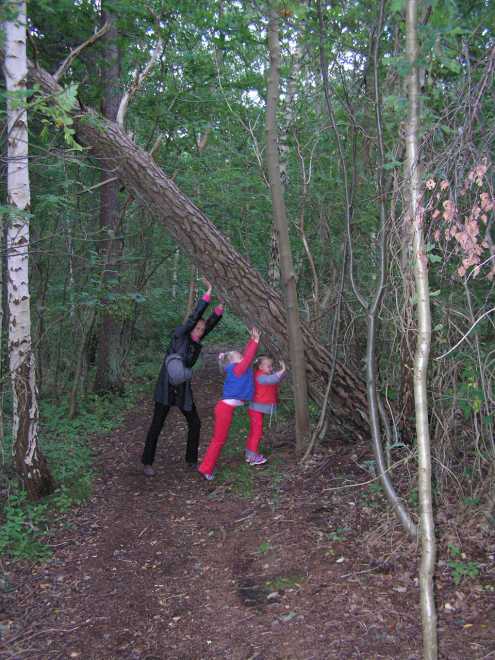 Zet maar weer overeind