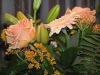 Bloemen voor MorMor en Morfa