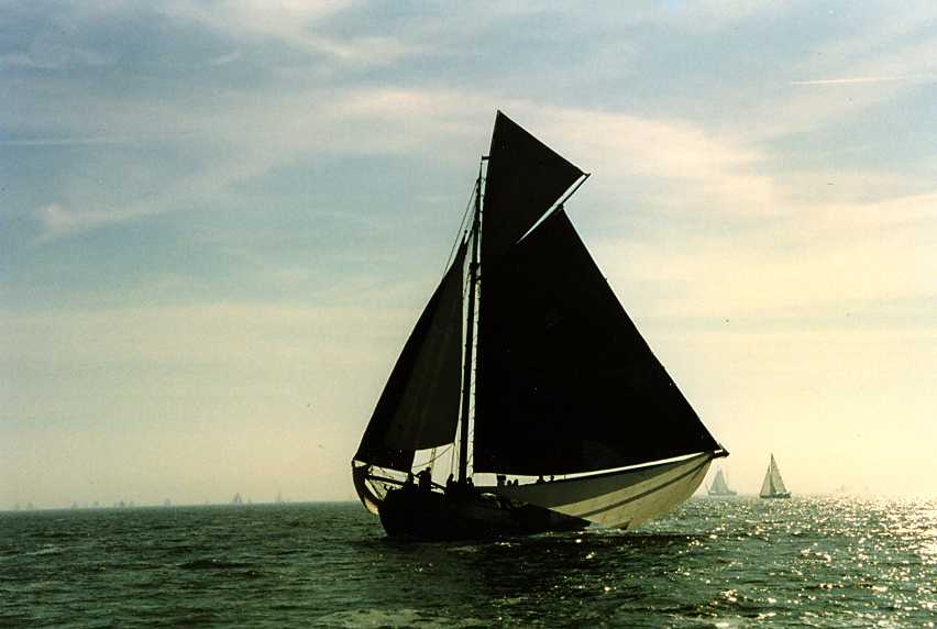 Gewoon mooi ,Bolkop'95