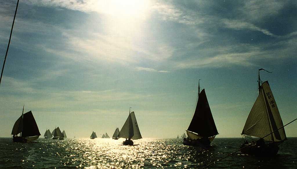 Hij was goed de Bolkop van 1995