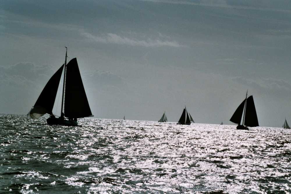 Tegenlicht mislukken ,zeggen ze?-2-10-'04