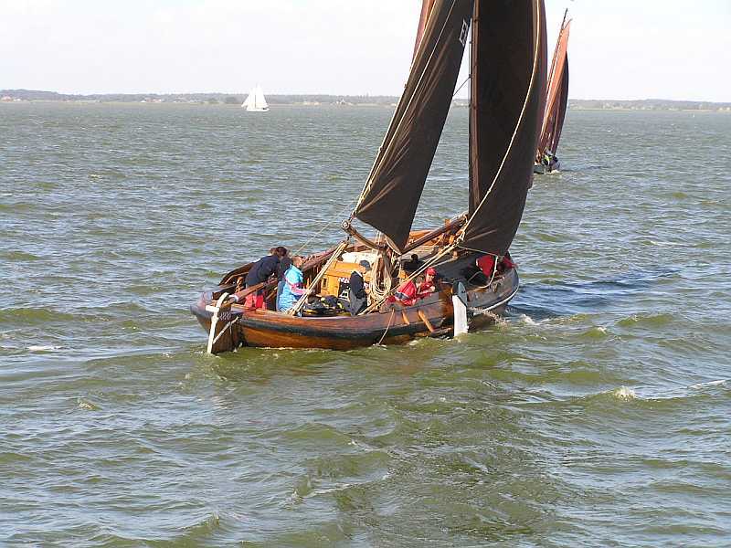 EB43 kan wel een golfje hebben