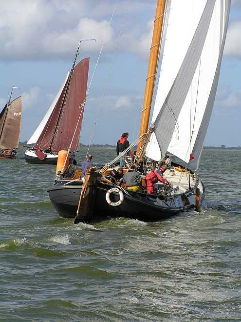 De breede billen van MERLIJN