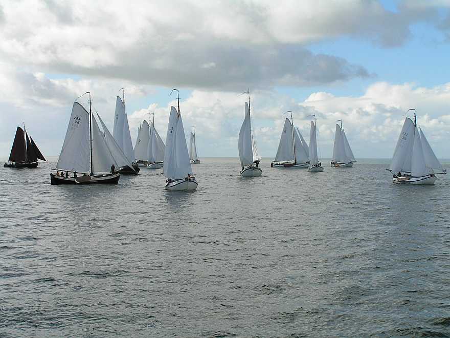 Kom allemaal maar terug!