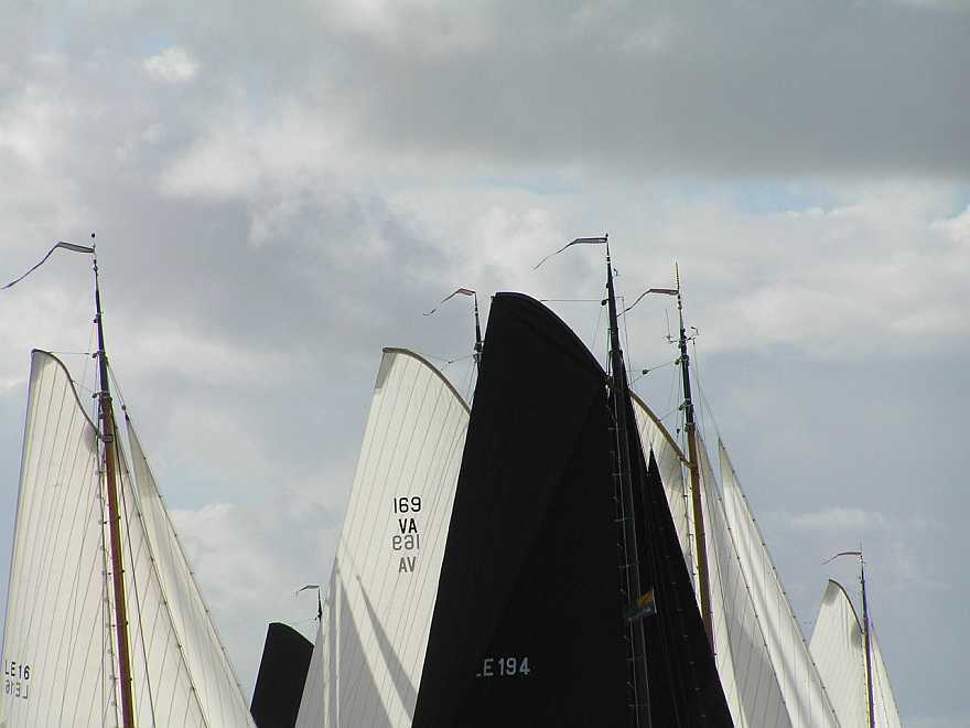 Prachtige doeken 2005