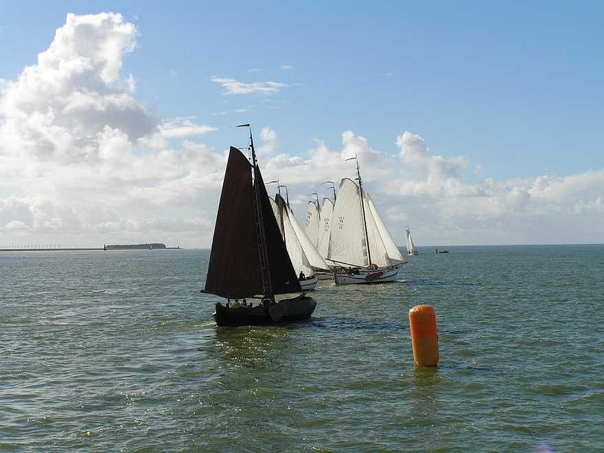 OP startschot,heel goed VB157