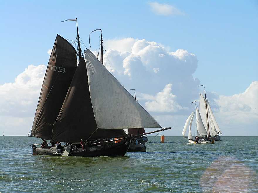 Rappe Jappe VD153