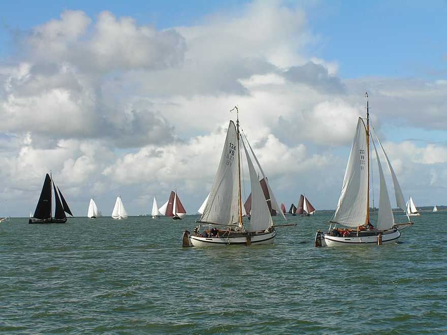 Zamen uit zamen thuis