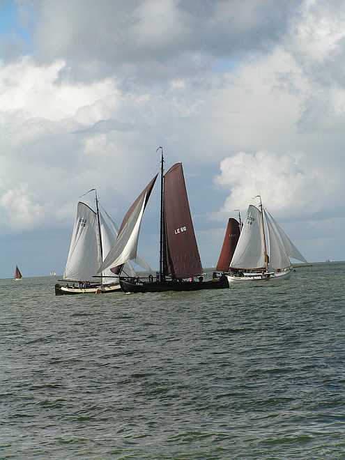 Welke kant gaan we om luitjes LE66