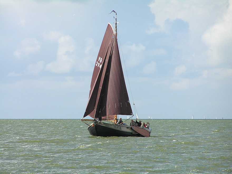 Een mooi Lemsteraakje uit Meppel
