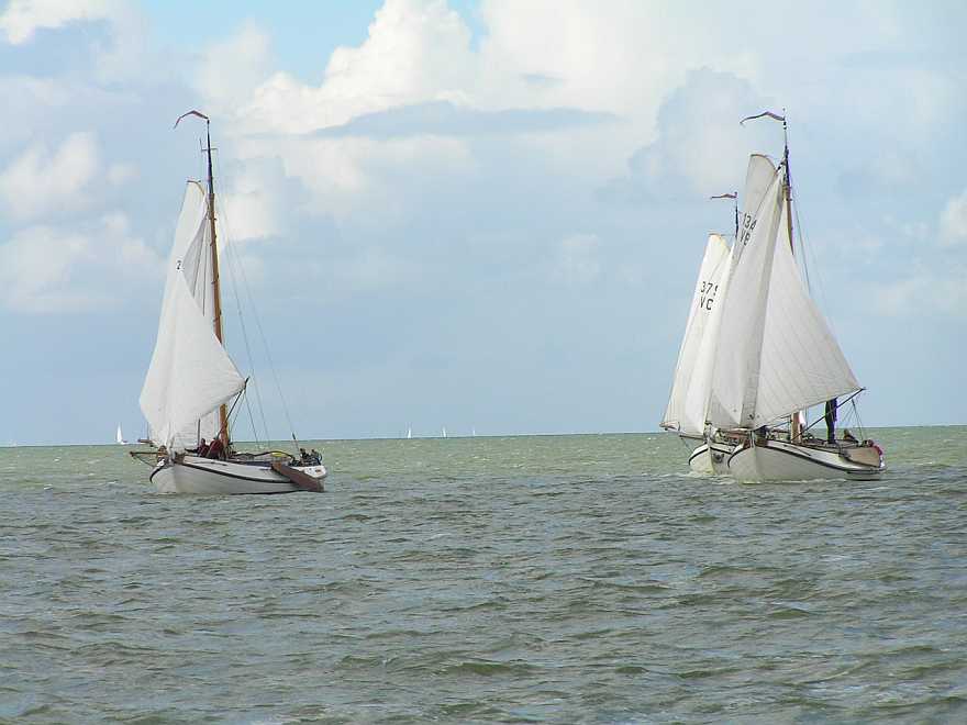 Inzicht; VB134_VB233_VC379