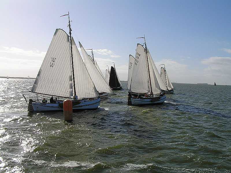 Poolster laat maar vrij met gang