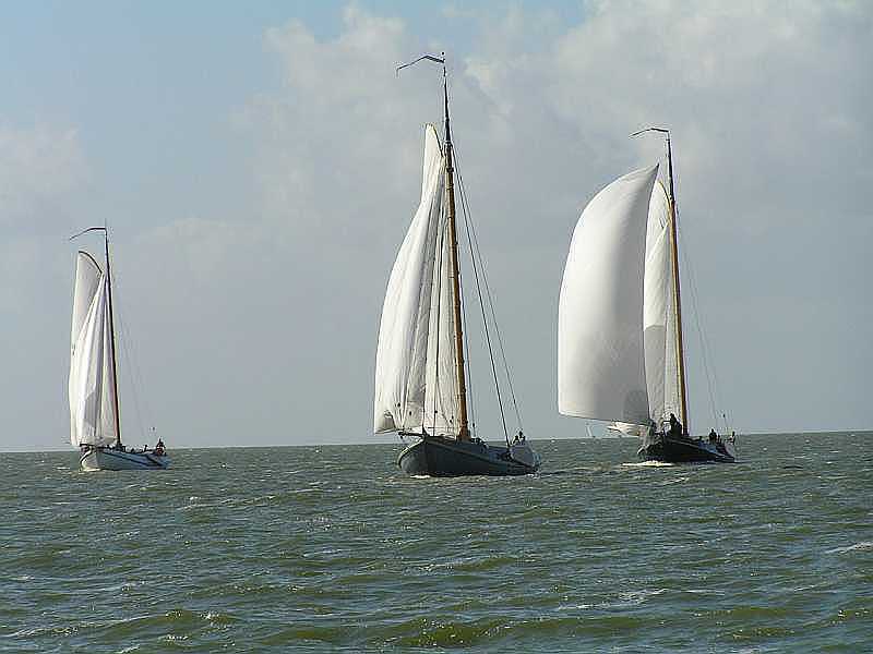 LE16 voorop maar moet dan ook heel wat uitzeilenop de rest