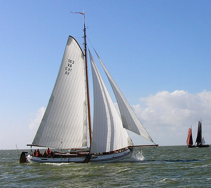 E.Pluijmers met maasvogel7-5-dsq 11e