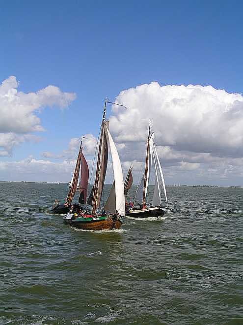 De Botters ook in aantocht