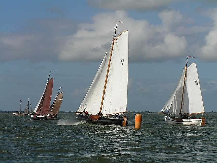 Zag er goed uit VA169