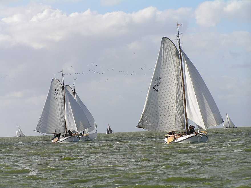 Vogelpoep in de zeilen