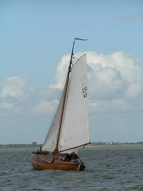 VB251