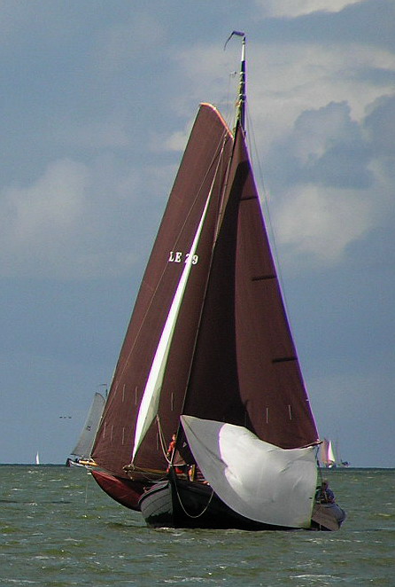 LE29 bij Lemsteraaken ongemeten klein 1e