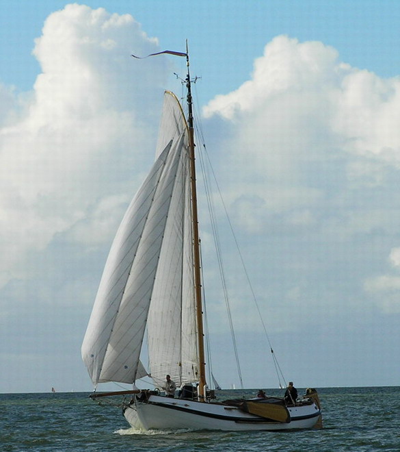 J.Lisman met de Luiaard 16-13-12 13e