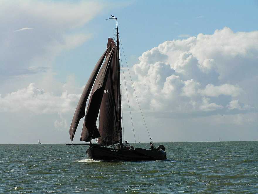 B.Reekers met de Muoike Mijs 6-dnf-6_6e