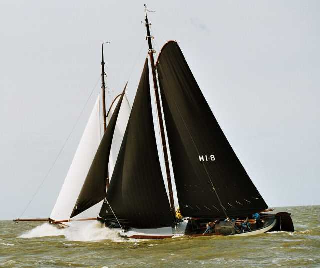 Mooie snorren dames !