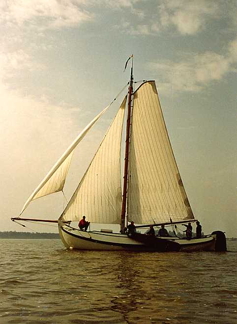 Jaren geleden was er eens een witte Blomaak