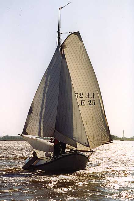 LE25 wit in tegenlicht