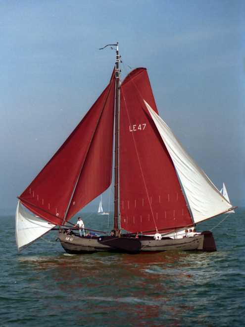 De LE194 komt er over in2000