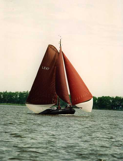 LE47 je komt ze overal tegen