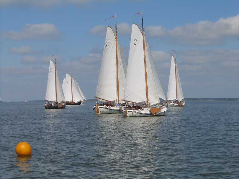 Net na start 3e wedstr Lemster Bokking race 2005
