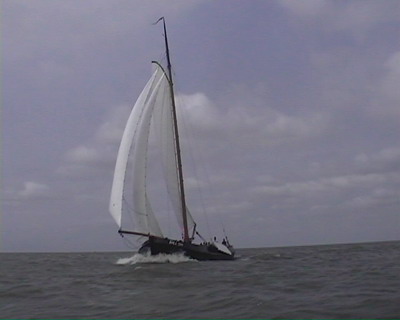 Winnaar Lemster Bokking race 2005 de BU99