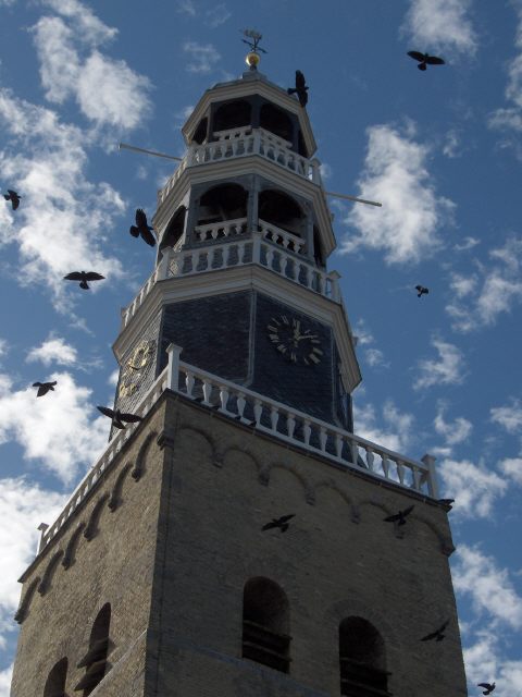 Genoeg kraayen in Hielpen