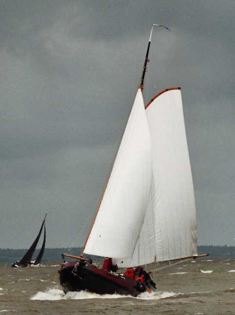 De Ferroaring geeft niet op