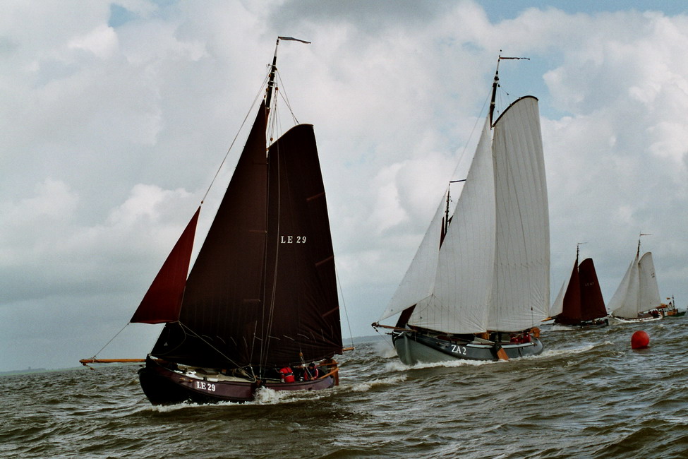 En nu maar rampen stampen !