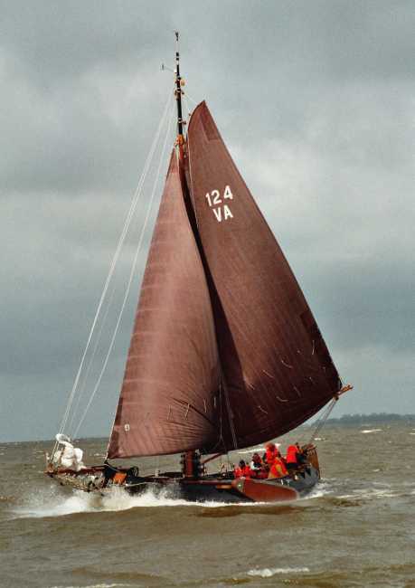 VA124 door beuken